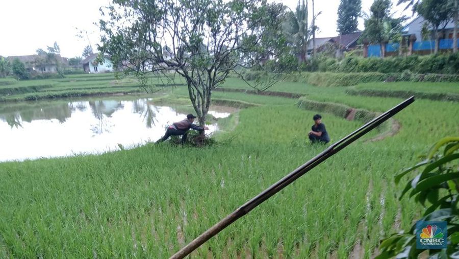 gambar-berita-lainnya