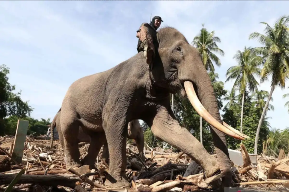 gambar berita terbaru