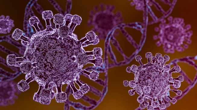 Ramai Dibicarakan, Tapi Seberapa Nyata Ancaman Hantavirus?