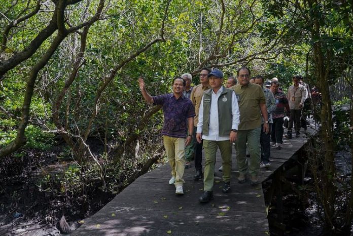 Wamenhut Dorong Perhutanan Sosial di Bali, Mangrove Diproyeksikan Jadi Motor Ekonomi Hijau
