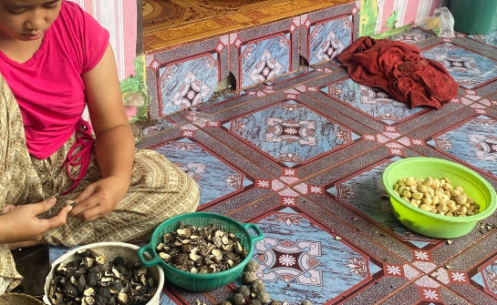 Hidup Bersama Hutan, Kisah Warga Loksado Menjaga Pegunungan Meratus