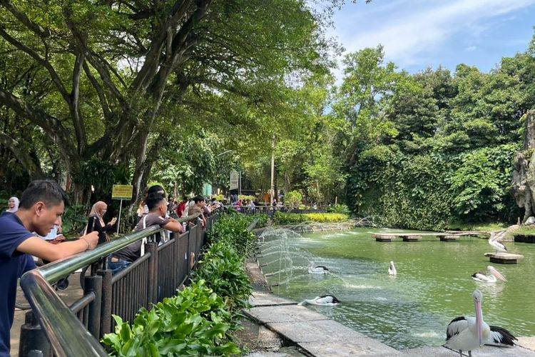 gambar berita terbaru