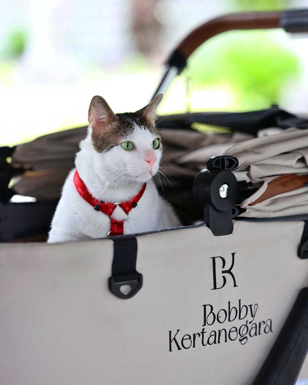 gambar-berita-lainnya